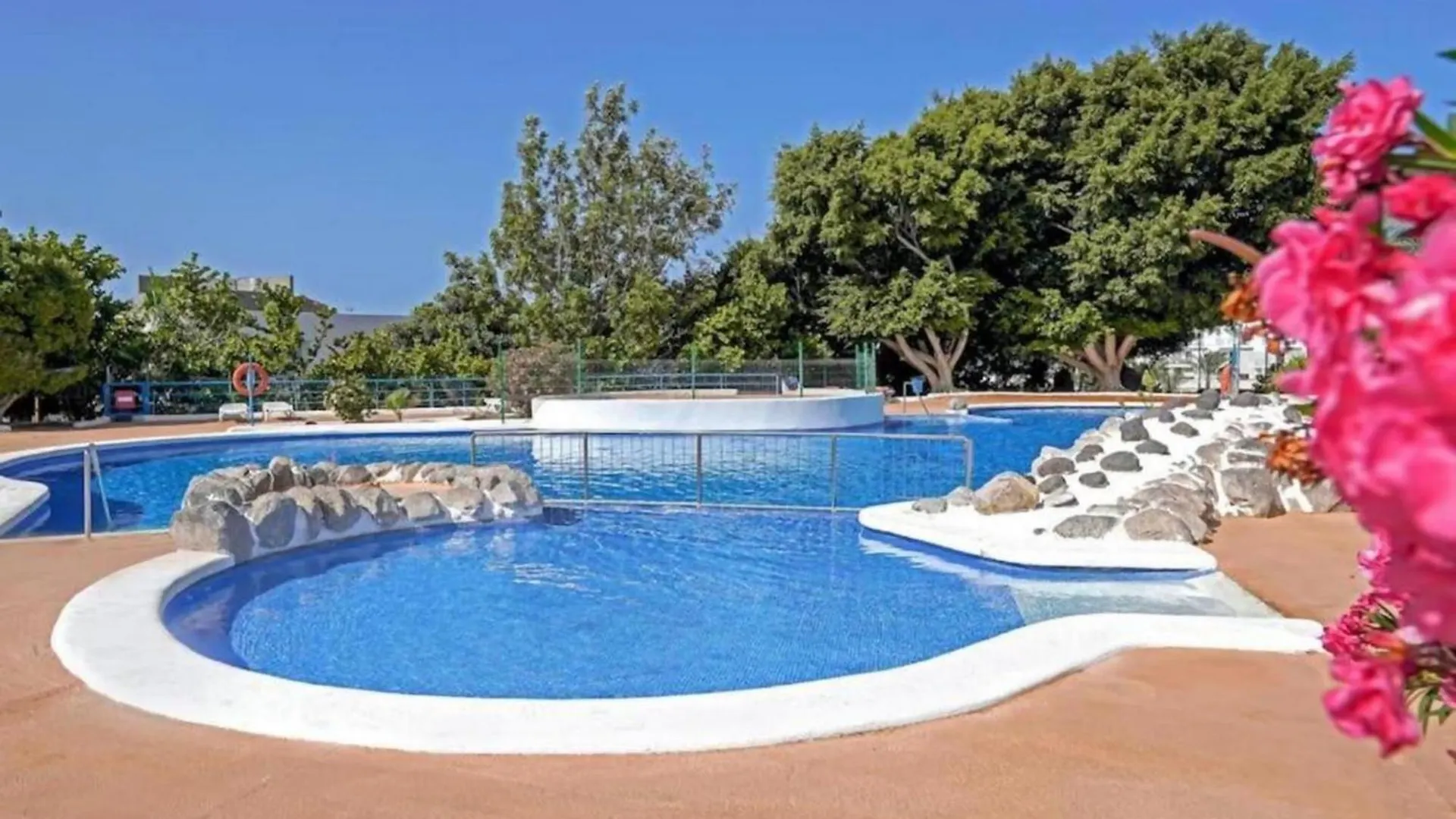 Apartment Paraiso Del Sur A306 By Tenerife Rental & Sales Costa Adeje